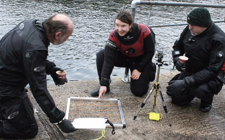Underwater survey